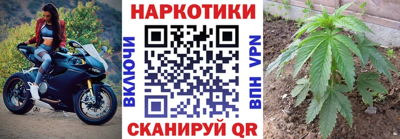Где найти наркотики Киренск ГАШИШ  Экстази  Псилоцибиновые грибы  Бошки Шишки  Cocaine  Мефедрон  АМФ 
