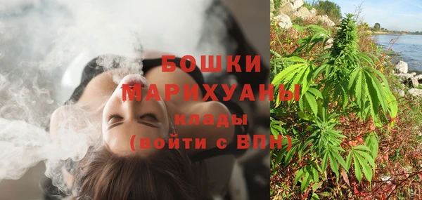 Альфа ПВП Осинники