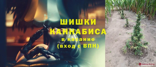 ГАЛЛЮЦИНОГЕННЫЕ ГРИБЫ Гатчина