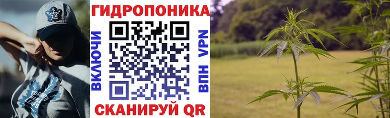 Конопля THC 21%  кракен онион  Киренск  цены наркотик 